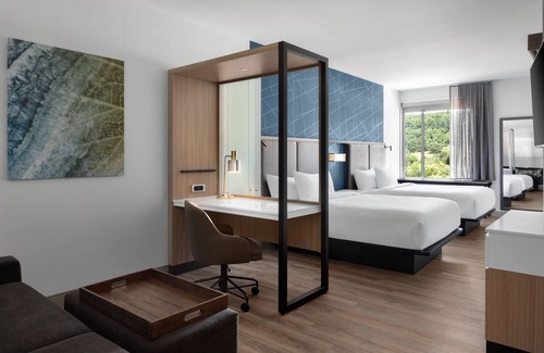 Hollins Hotel | Springhill Suites By Marriott Roanoke North