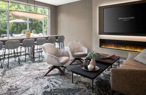 Portage Hotel | SpringHill Suites by Marriott Kalamazoo Portage