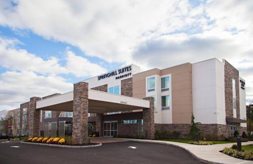 Somerset Hotel | SpringHill Suites by Marriott Somerset Franklin Township
