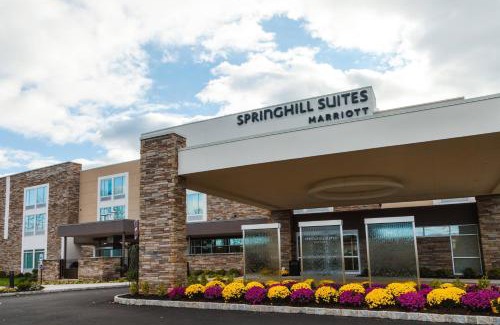 Somerset Hotel | SpringHill Suites by Marriott Somerset Franklin Township