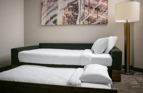 Cheyenne Hotel | SpringHill Suites by Marriott Cheyenne