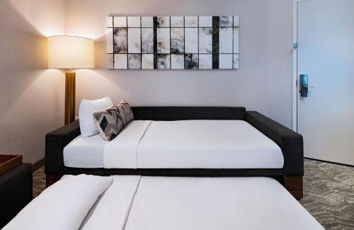McNeil Hotel | SpringHill Suites by Marriott Austin North