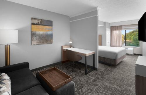 Grand Rapids Hotel | SpringHill Suites by Marriott Grand Rapids Airport Southeast