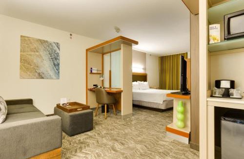 McAllen Hotel | SpringHill Suites by Marriott McAllen Convention Center