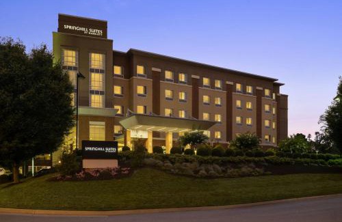 Roanoke Hotel | SpringHill Suites by Marriott Roanoke