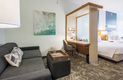 New Tampa Hotel | SpringHill Suites by Marriott Tampa North/I 75 Tampa Palms