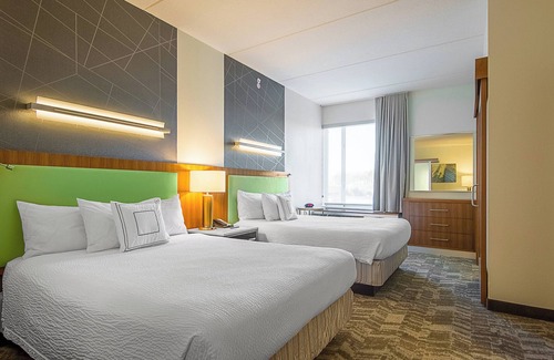 New Tampa Hotel | SpringHill Suites by Marriott Tampa North/I 75 Tampa Palms