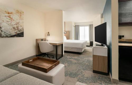 Westshore Hotel | SpringHill Suites by Marriott Tampa Westshore