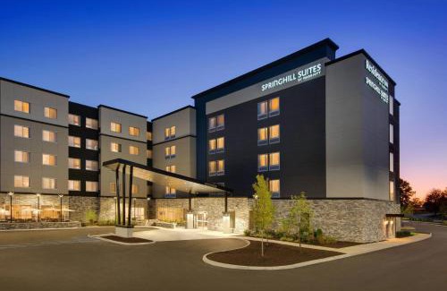 Indianapolis Hotel | SpringHill Suites by Marriott Indianapolis Keystone