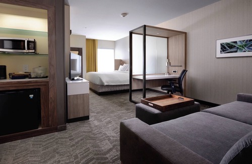 Forest Crest Hotel | SpringHill Suites by Marriott San Antonio NW at The Rim