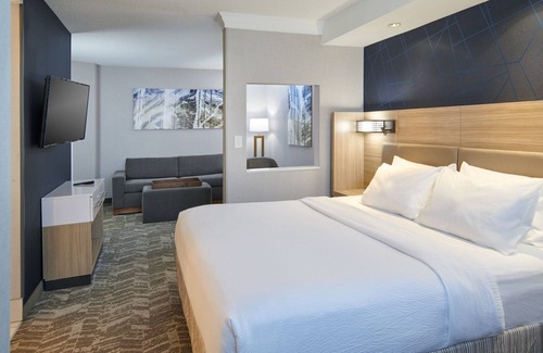 Southfield Hotel | SpringHill Suites Detroit Southfield