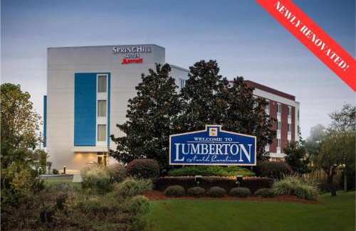 Lumberton Hotel | SpringHill Suites Lumberton