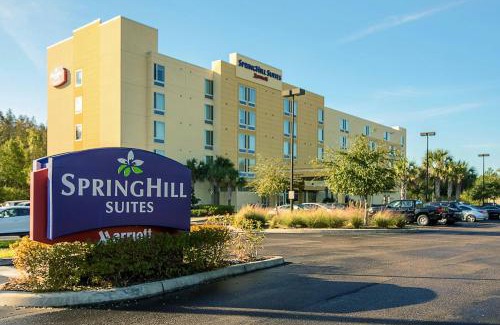 New Tampa Hotel | SpringHill Suites Tampa North/Tampa Palms