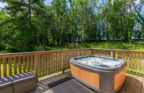 Newton Stewart Ski Chalet | Squirrel Lodge 40 with Hot Tub