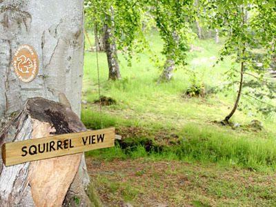 Newtonmore House | Squirrel View