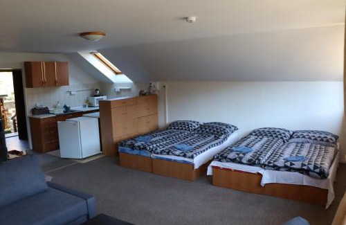 Albrechtice v Jizerskych horach Apartment | Stanislava Pechová Apartmán HakElaKuky