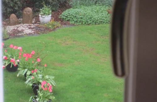 Galway Bed & Breakfast | St Judes B&B