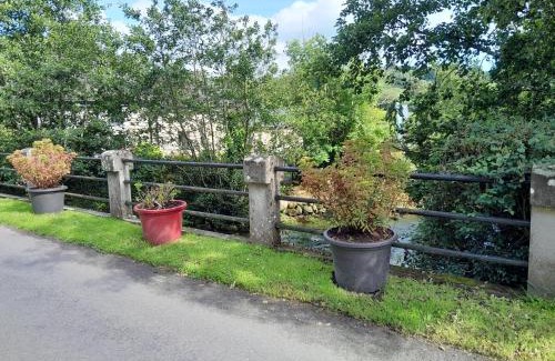 Glynn Other | St Mullins Natural Camping