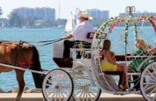 North East Park House | St. Petersburg Romantic Vacation Couples Getaway!