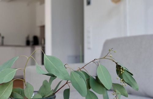 Ravensburg Apartment | Stadtnah und Dennoch Ruhig