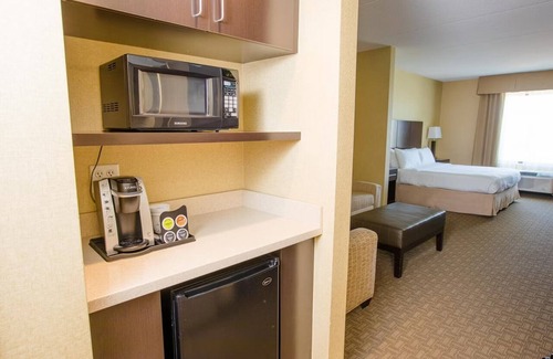 Ocotillo Hotel | Standard King at Holiday Inn Phoenix Chandler - Outdoor Pool & Pets are Welcome!