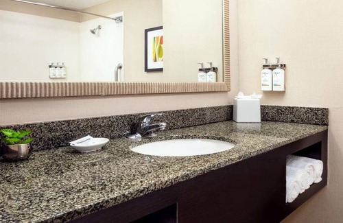 Ocotillo Hotel | Standard King at Holiday Inn Phoenix Chandler - Outdoor Pool & Pets are Welcome!