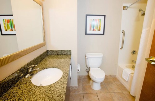 Ocotillo Hotel | Standard King at Holiday Inn Phoenix Chandler - Outdoor Pool & Pets are Welcome!