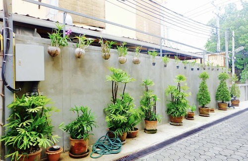Old City Apartment | Standard Room in Chiangmai