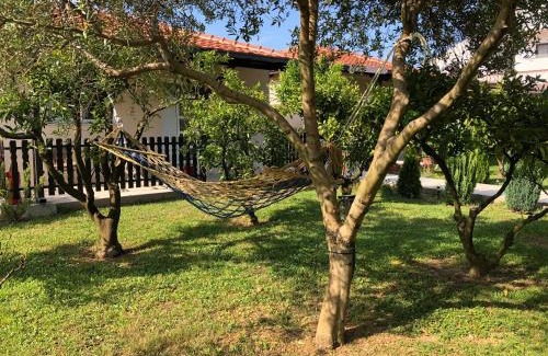 Gjerana House | Stanovic Bungalow