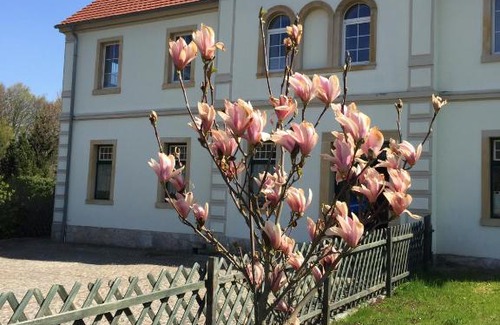 Lwowek Slaski Bed & Breakfast | Stara Szkoła Dębowy Gaj The Old School Dębowy Gaj