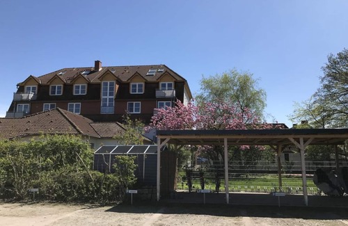 Ortsamt 2 Apartment | Stargazer, a few minutes to the beach
