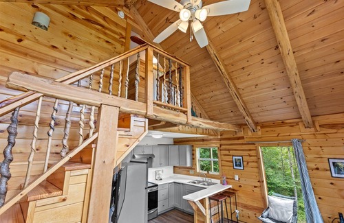 Stanton Cabin | Stargazer Cabin
