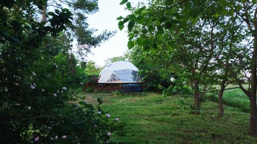 Szolad House | Stargazer Dome at Lake Balaton