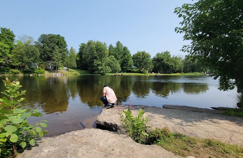 Campbellford Cabin | Stargazing Cabin with River Access