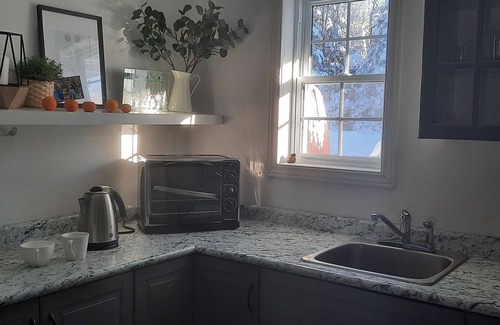 Wollaston Cottage | Starry Lake Dark Sky Oasis- Glorious Forest Retreat w/Private Lake and Trails
