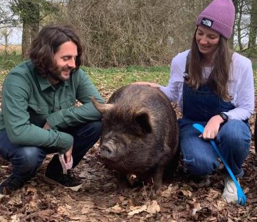 Irstead House | Starry Meadow & Rescued Animal Experiences