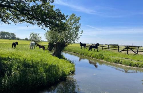 Wytgaard House | Statelan Logies, sfeervol en luxe ingericht vakantiehuis met 2 slaapkamers in het hart van friesland