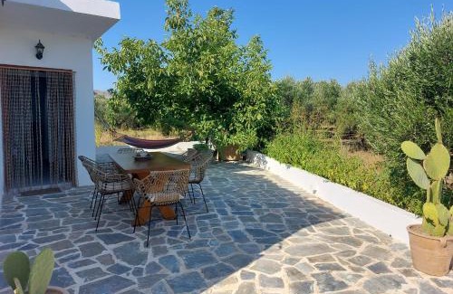 Vasilopoulo House | Stavros Oak Tree House