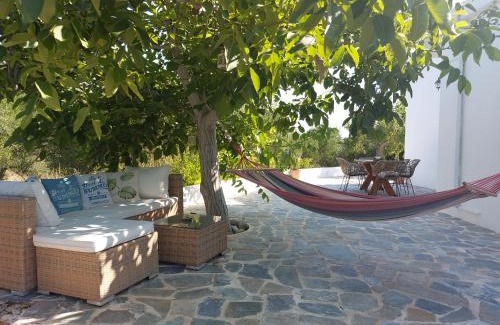 Vasilopoulo House | Stavros Oak Tree House