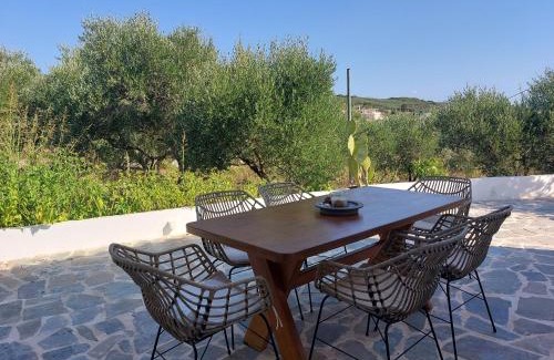 Vasilopoulo House | Stavros Oak Tree House