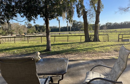 Fellowship Apartment | Stay and Ride Romantic ‘King Suite Plus” with Deck on a Dude Ranch. Horses!