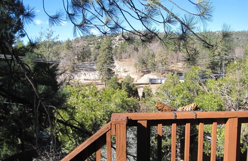 Arrowbear Lake Cabin | Stay at this centrally located mountain home!