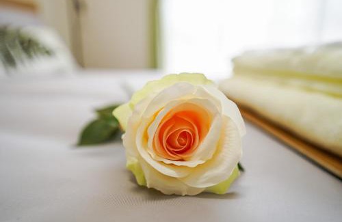 Higashi Ward Apartment | stay's サンジョイフル 304号 名古屋 民泊 駅近