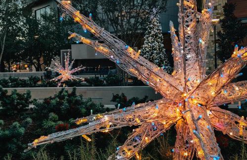 The Colony Hotel | Staybridge Suites Plano - The Colony by IHG