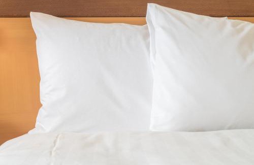 Rochester Hotel | Staybridge Suites Rochester University by IHG