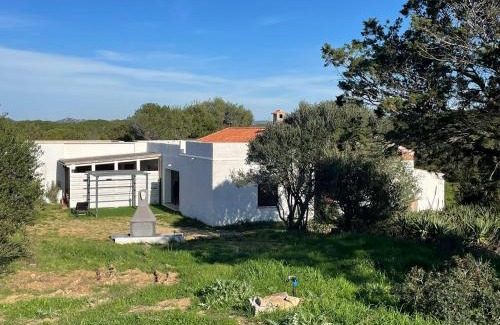 Aglientu House | Stazzo Monti Russu