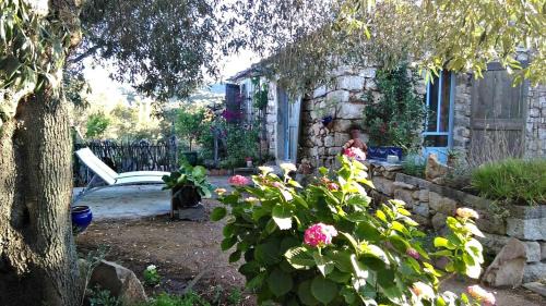 Sa Castangia Other | Stazzu la Capretta Farm Camping & Guest Rooms