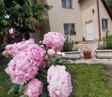 Tirgu Neamt House | Steaua Nordului