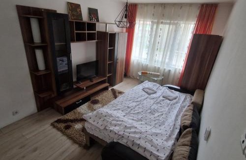 Floresti Apartment | Stejarului App