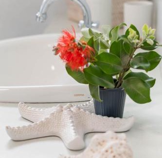 Brooms Head House | Stella LJHooker Yamba